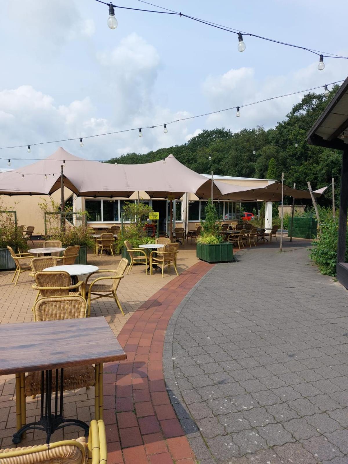 2 Bedroom Fins Chalet Gramsbergen Экстерьер фото
